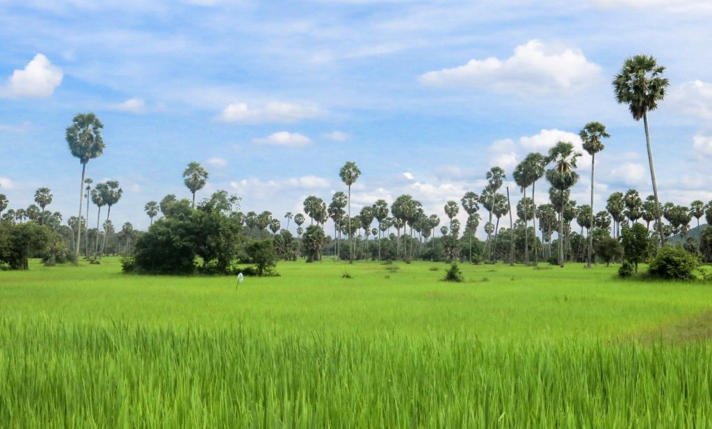 5 films à voir sur le Cambodge