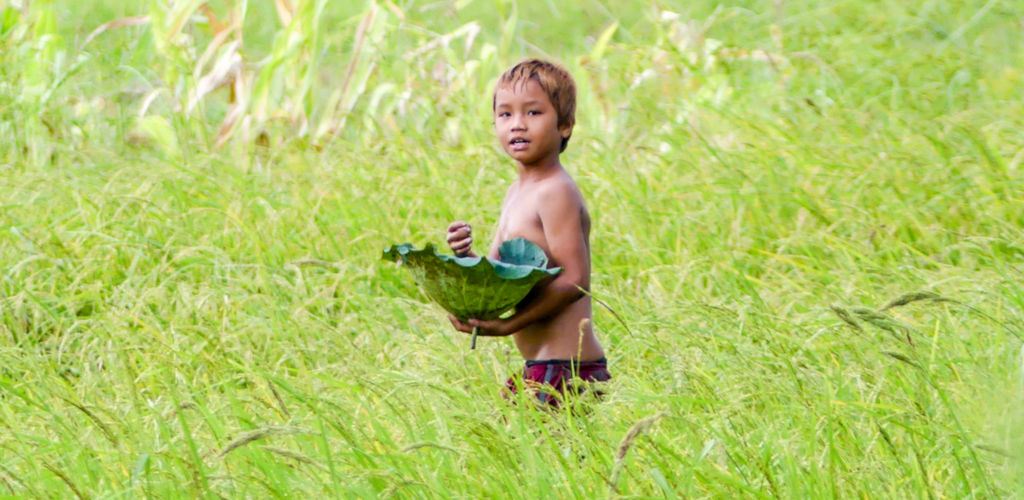 Enfant dans une rizière à Battambang au Cambodge.