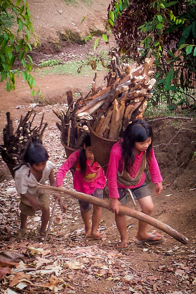 Randonnée dans la région de Mondolkiri au Cambodge.