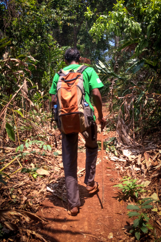 Randonnée dans la région de Mondolkiri au Cambodge.