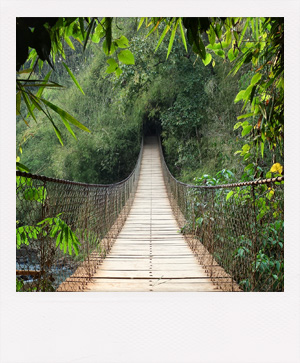 Pont suspendu dans la jungle du Ratanakiri au Cambodge.