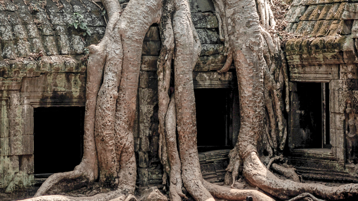 Le Ta Prohm à Angkor au Cambodge.